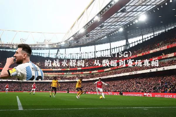FIFA技术研究小组(TSG)的战术解构：从数据到赛场真相